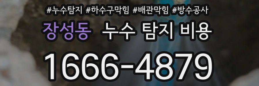장성동 누수 탐지 비용