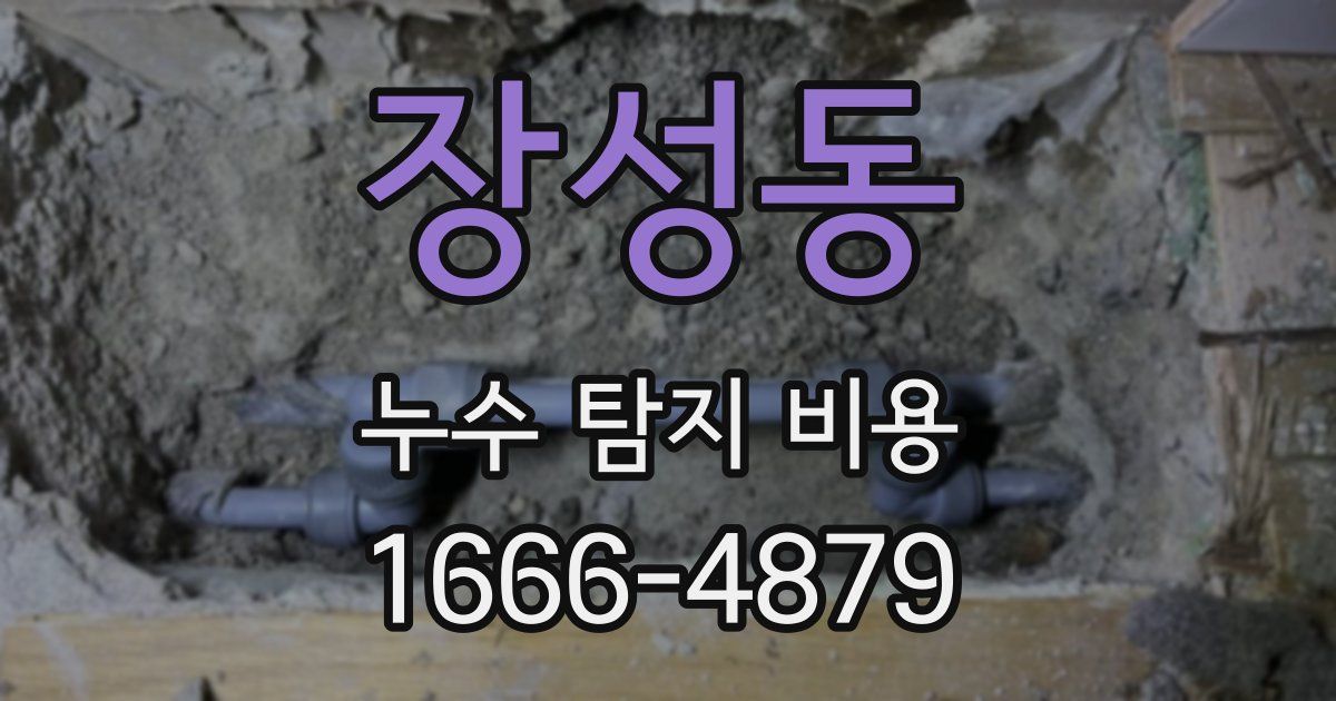 장성동 누수 탐지 비용