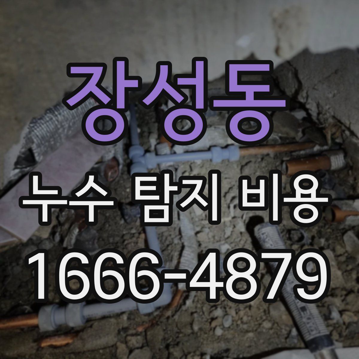 장성동 누수 탐지 비용