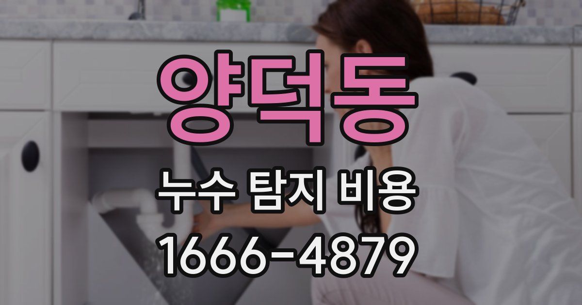양덕동 누수 탐지 비용
