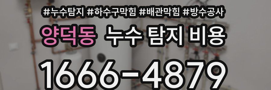 양덕동 누수 탐지 비용
