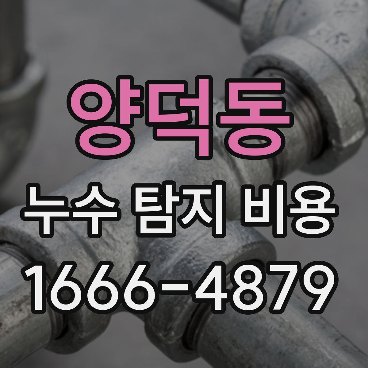 양덕동 누수 탐지 비용