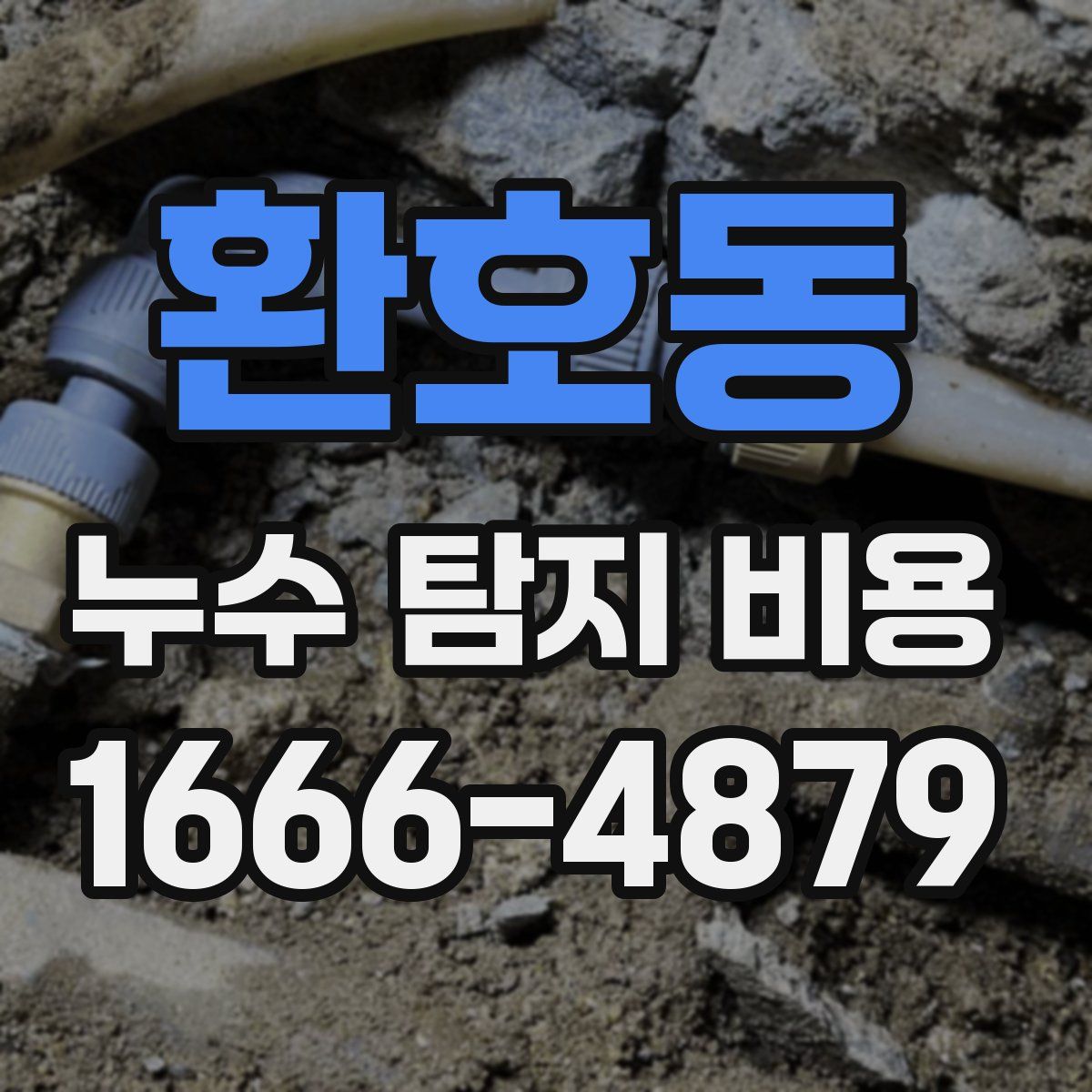 환호동 누수 탐지 비용