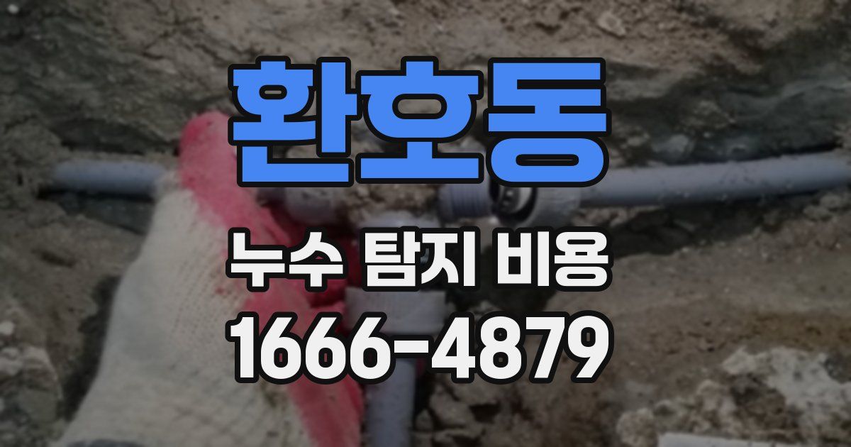 환호동 누수 탐지 비용