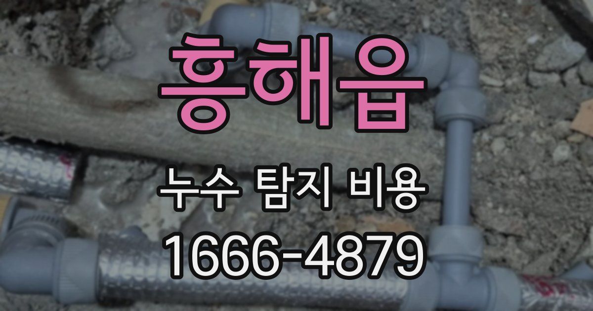 흥해읍 누수 탐지 비용