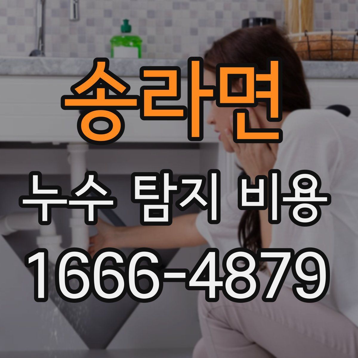 송라면 누수 탐지 비용