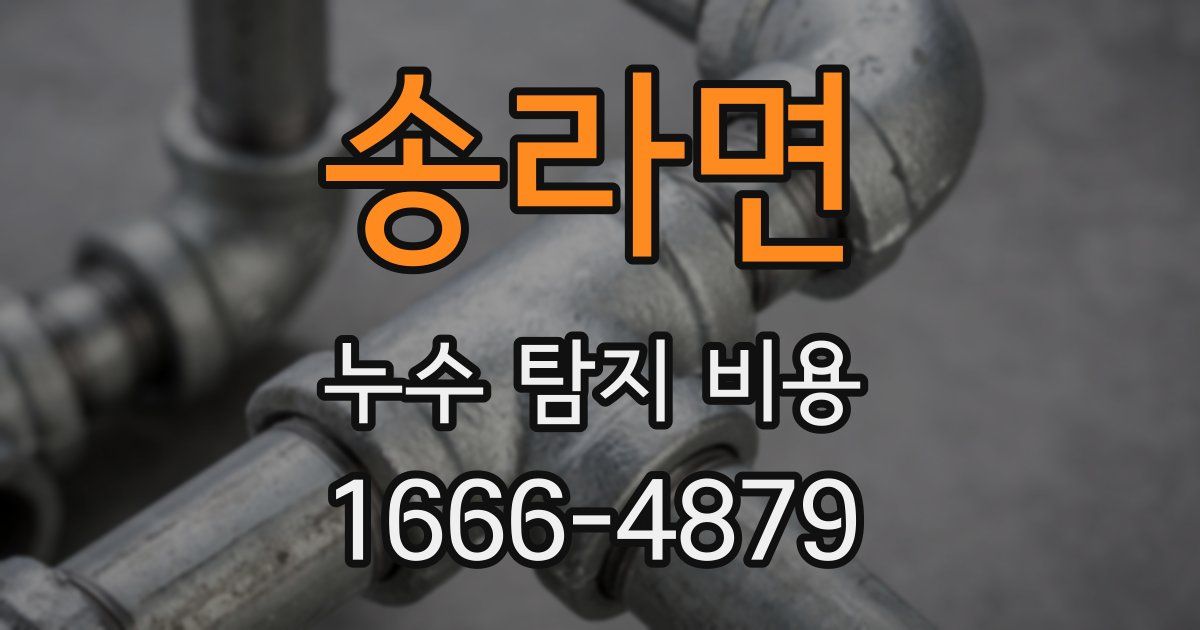 송라면 누수 탐지 비용
