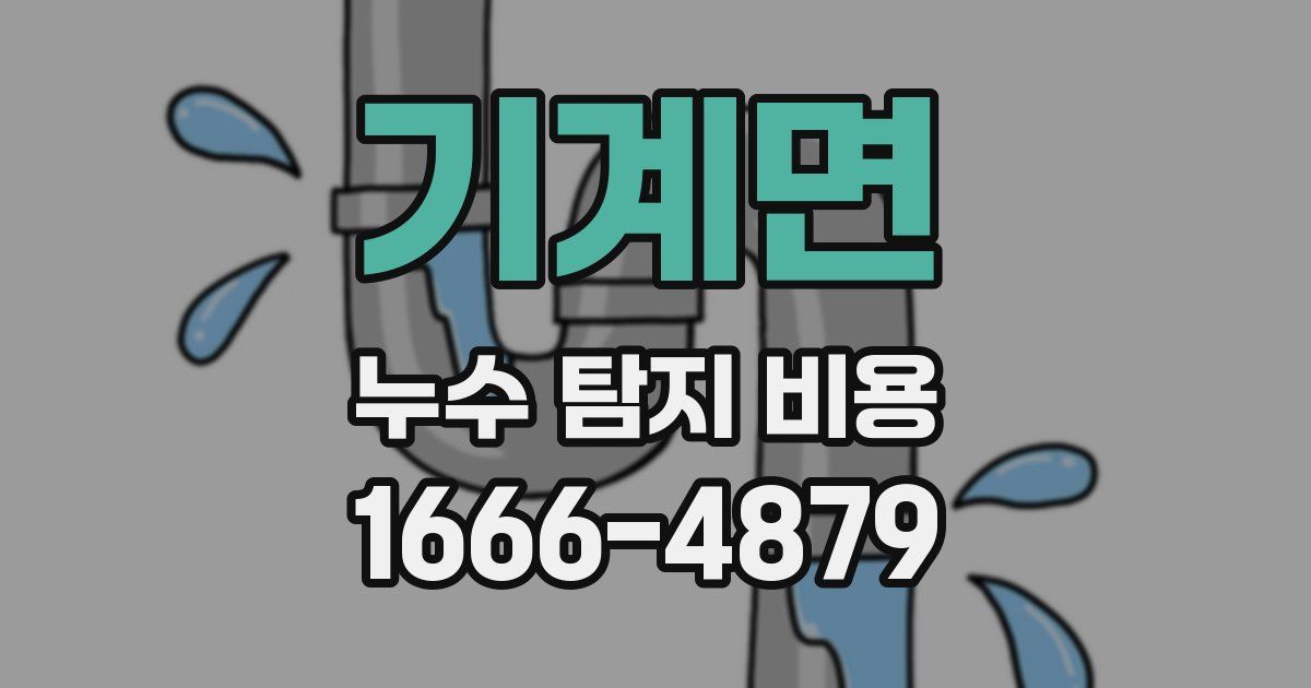 기계면 누수 탐지 비용