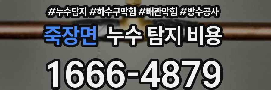 죽장면 누수 탐지 비용