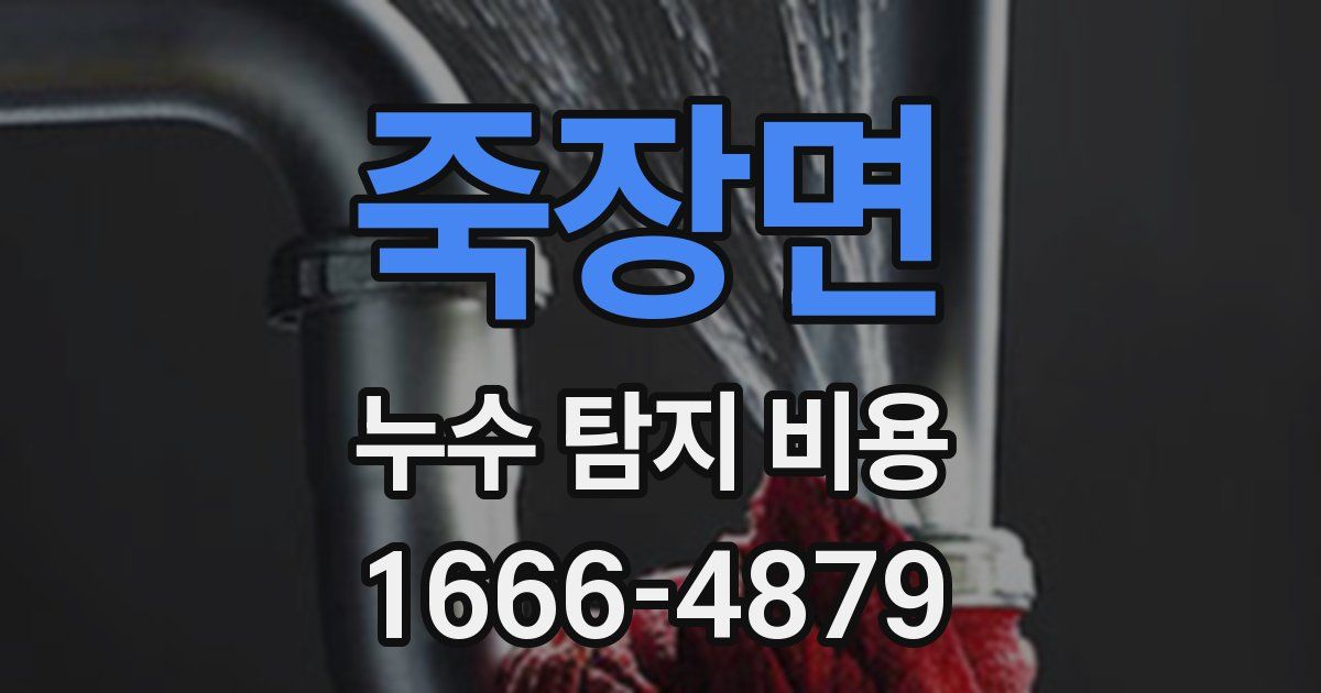 죽장면 누수 탐지 비용
