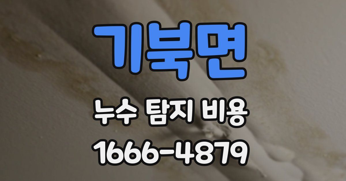 기북면 누수 탐지 비용