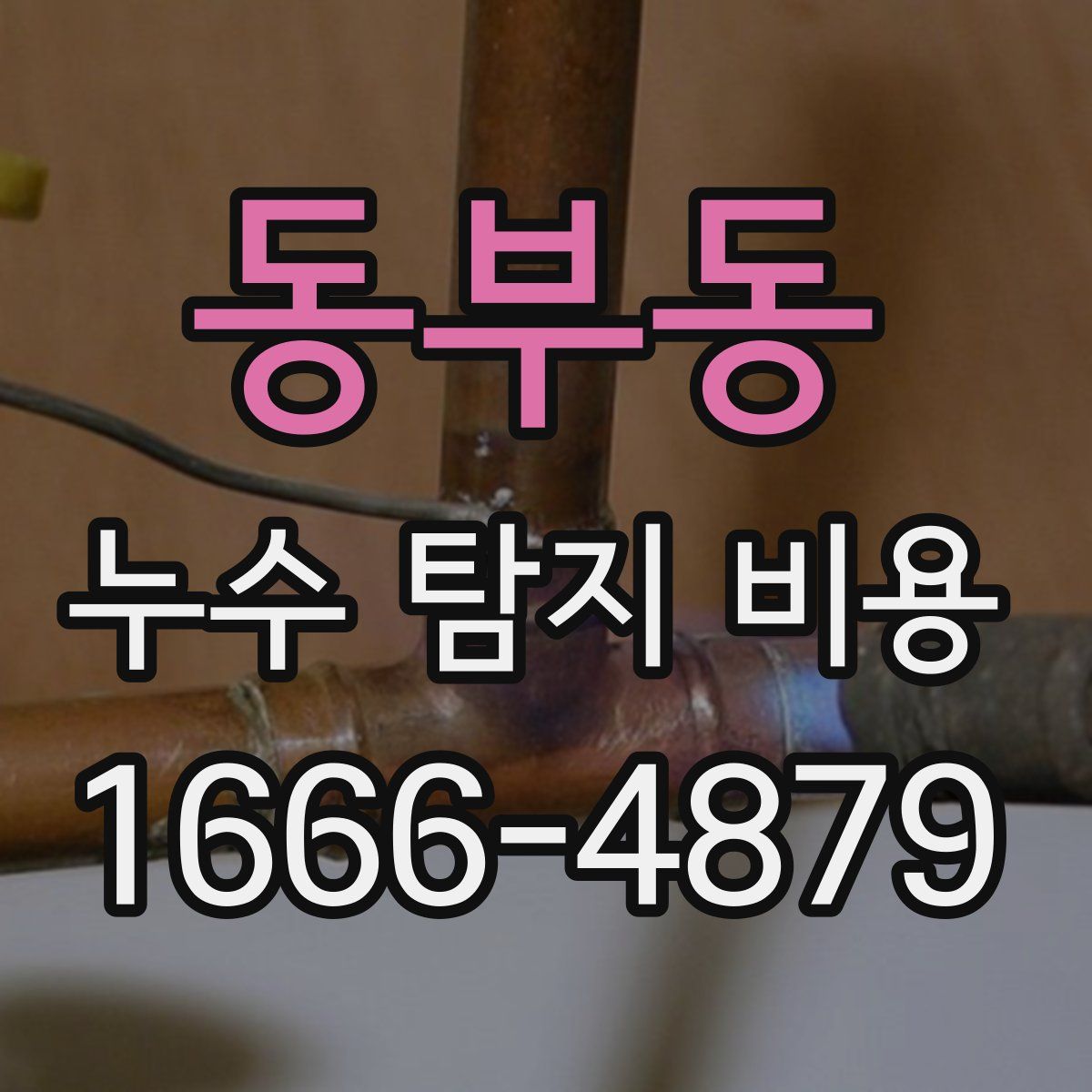 동부동 누수 탐지 비용