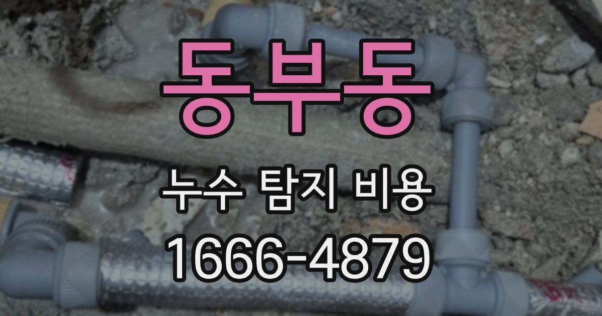 동부동 누수 탐지 비용
