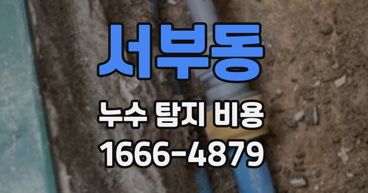 서부동 누수 탐지 비용