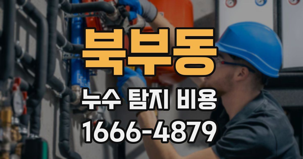 북부동 누수 탐지 비용