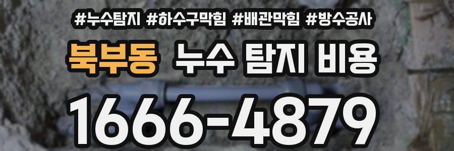 북부동 누수 탐지 비용