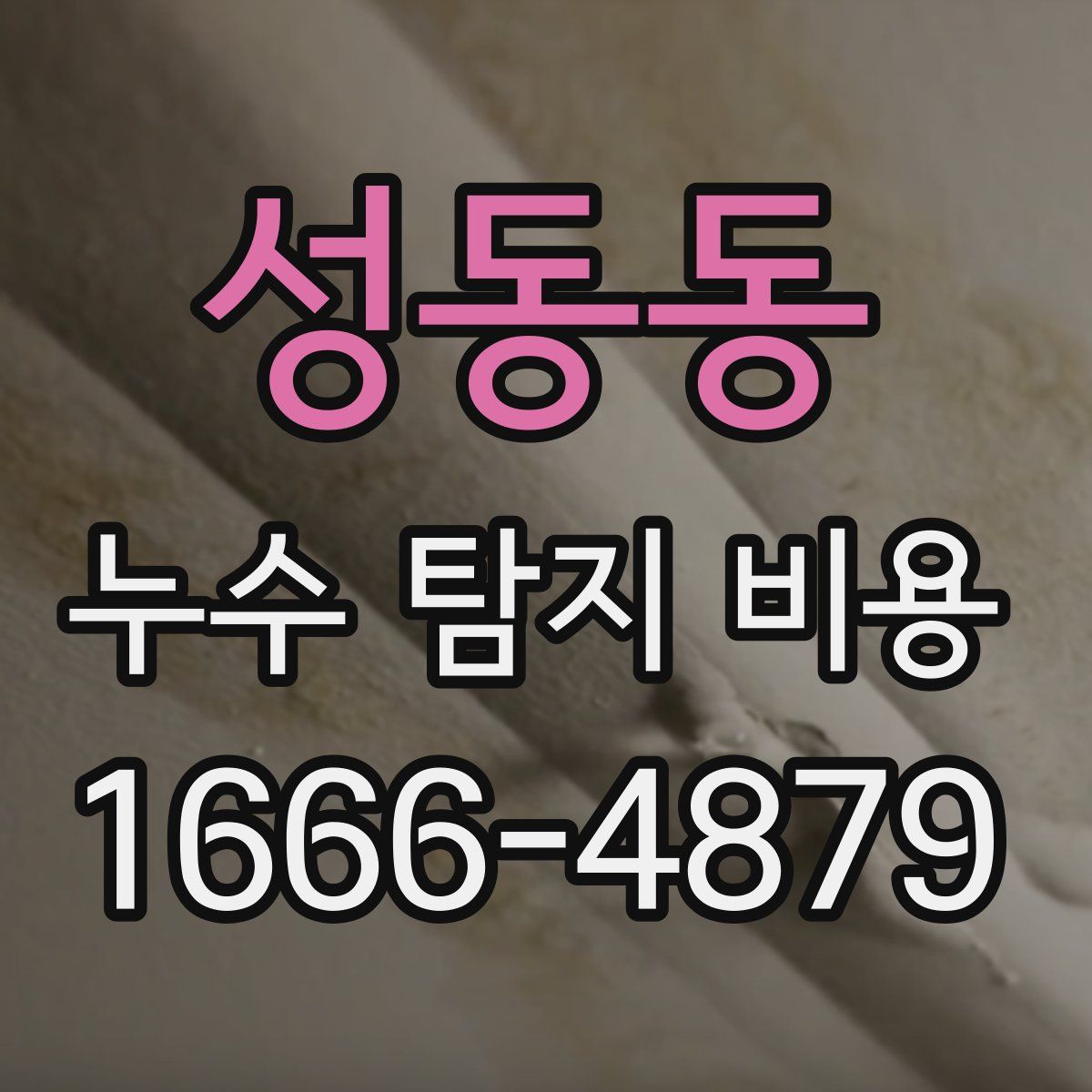 성동동 누수 탐지 비용