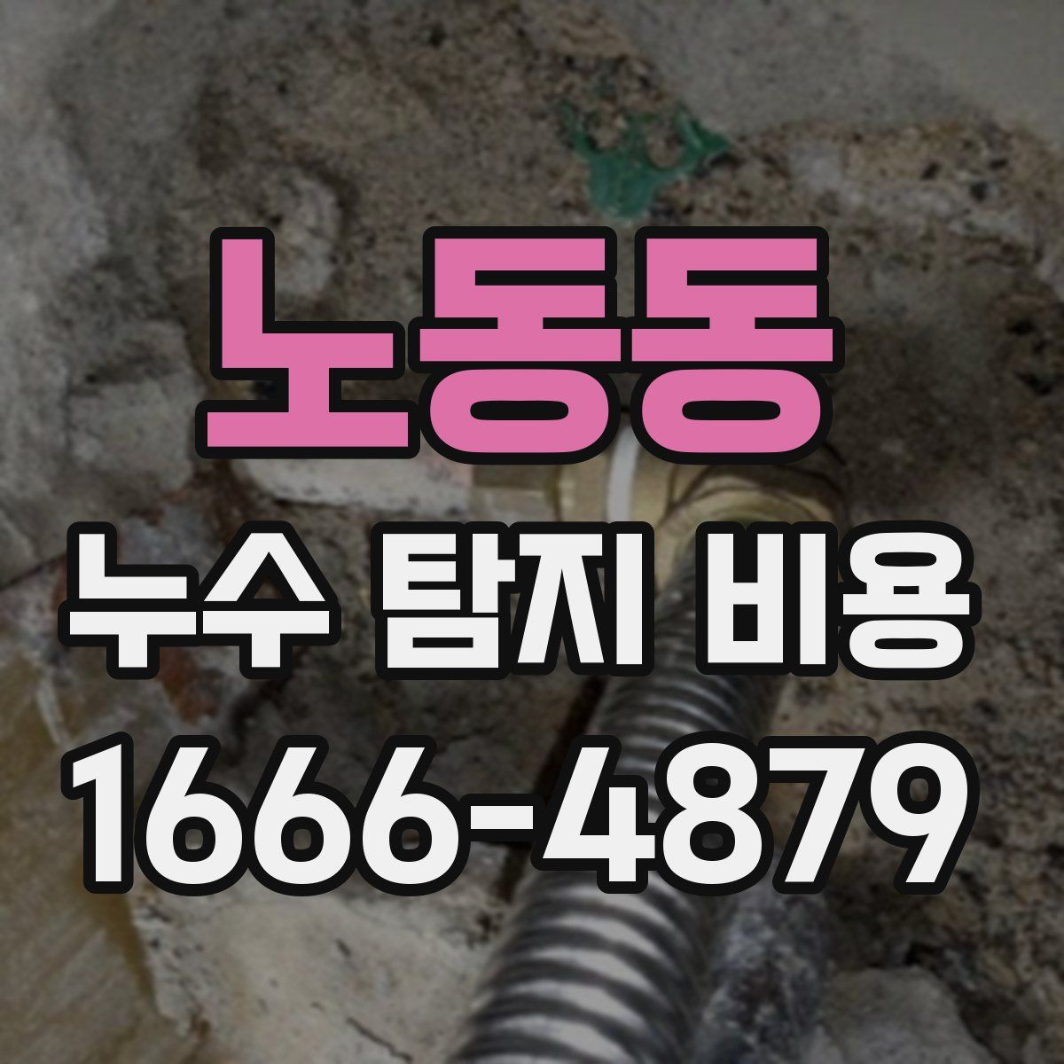 노동동 누수 탐지 비용