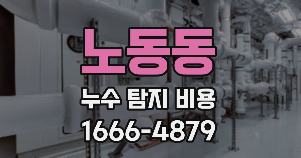 노동동 누수 탐지 비용