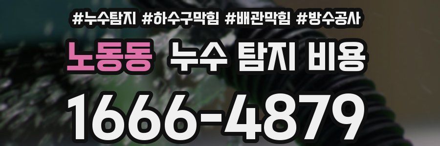 노동동 누수 탐지 비용