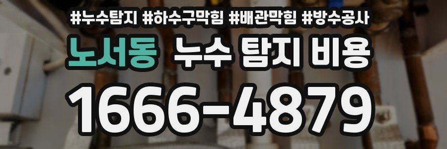노서동 누수 탐지 비용