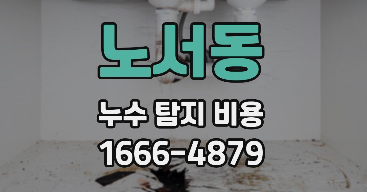 노서동 누수 탐지 비용