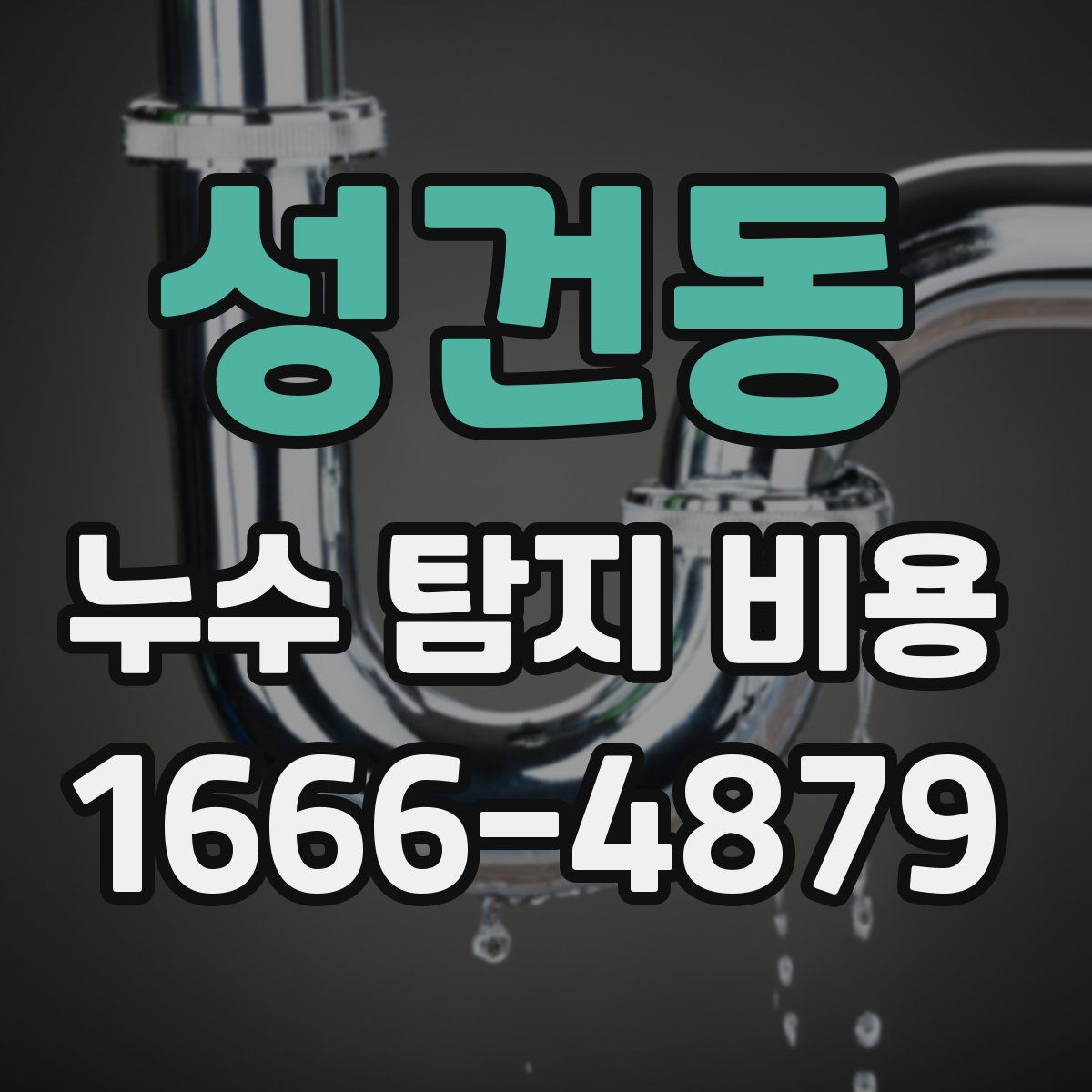 성건동 누수 탐지 비용