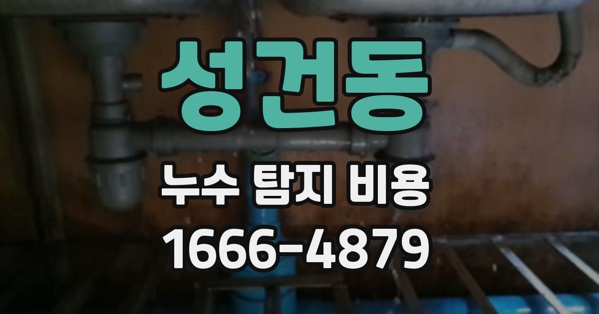 성건동 누수 탐지 비용