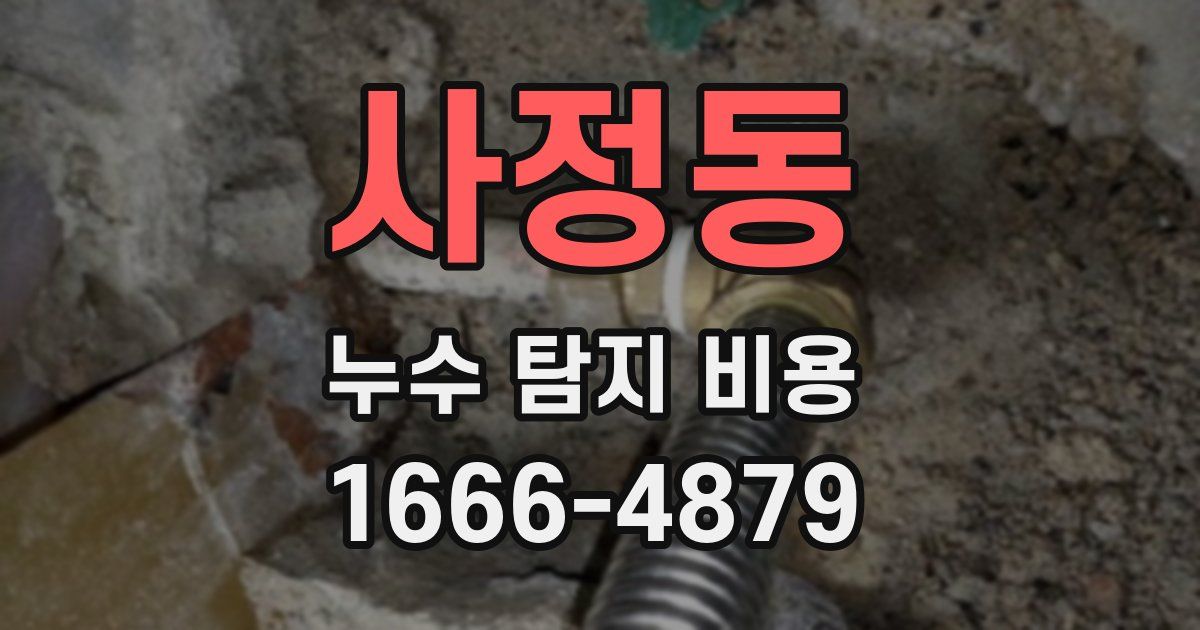 사정동 누수 탐지 비용
