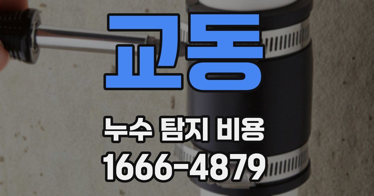 교동 누수 탐지 비용