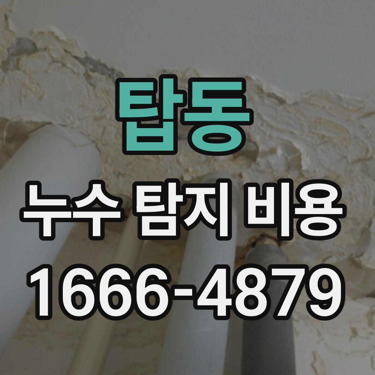탑동 누수 탐지 비용