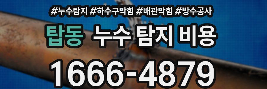 탑동 누수 탐지 비용