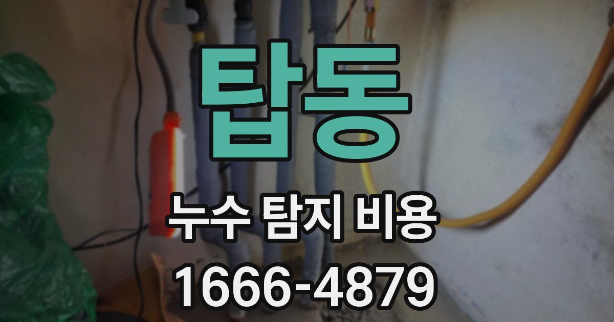 탑동 누수 탐지 비용