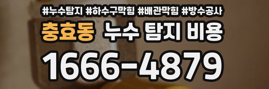 충효동 누수 탐지 비용