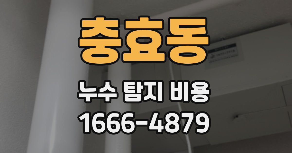 충효동 누수 탐지 비용