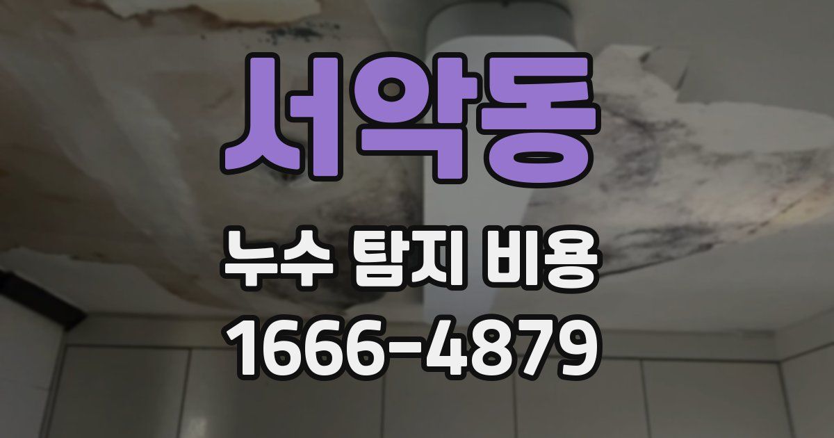 서악동 누수 탐지 비용