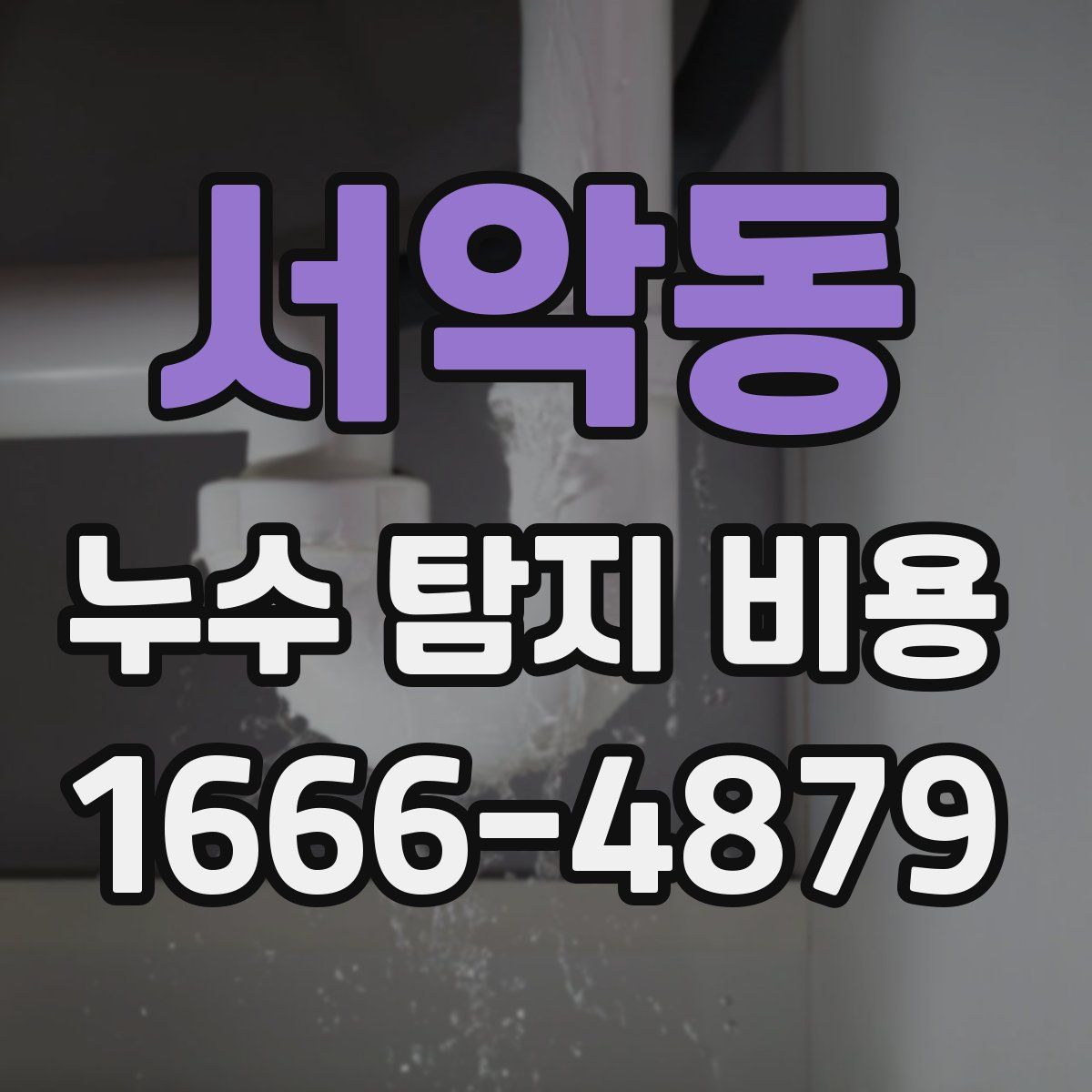 서악동 누수 탐지 비용