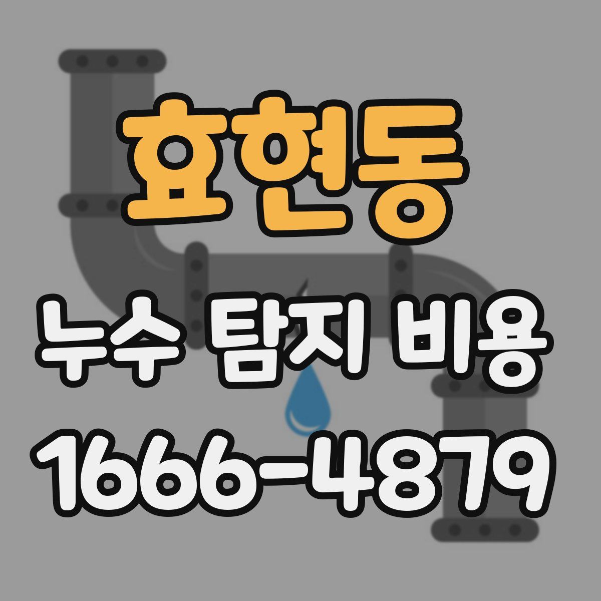 효현동 누수 탐지 비용