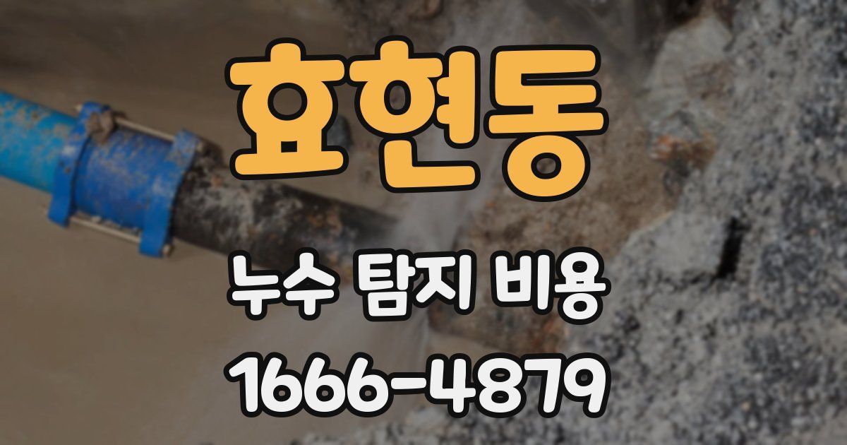효현동 누수 탐지 비용