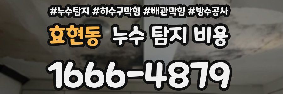 효현동 누수 탐지 비용