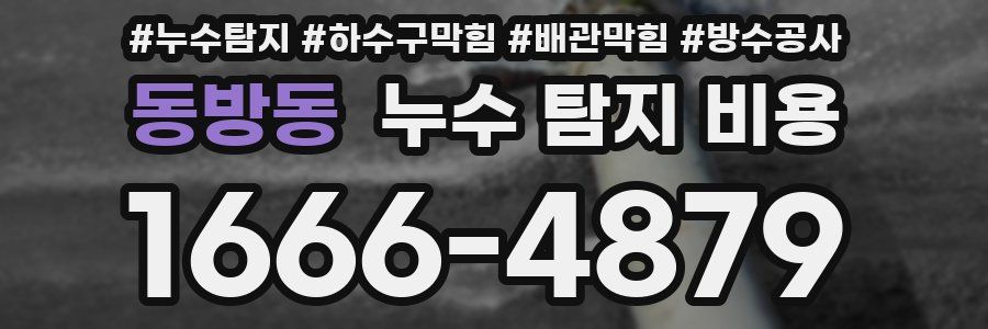 동방동 누수 탐지 비용