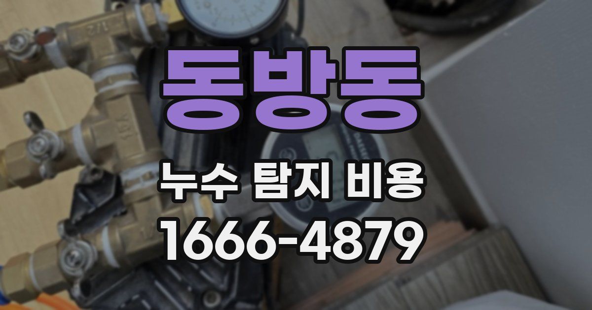 동방동 누수 탐지 비용