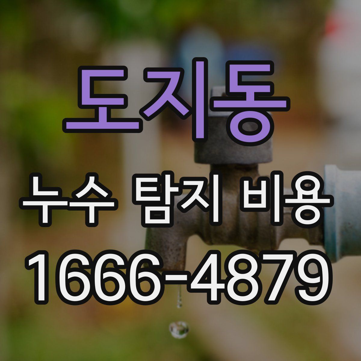 도지동 누수 탐지 비용