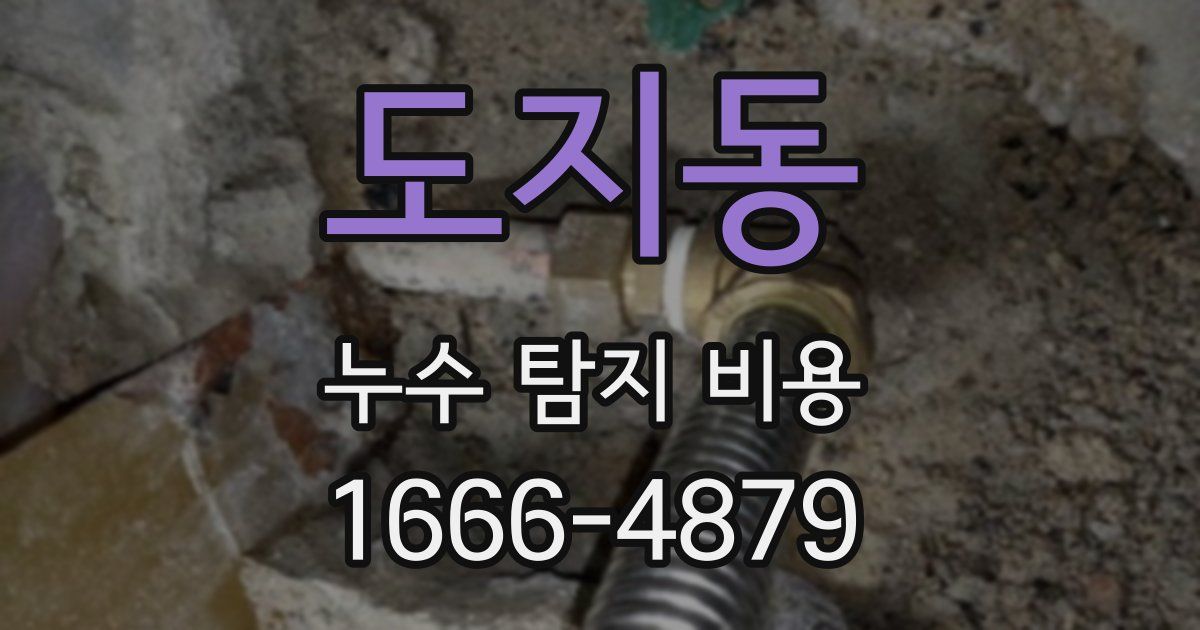 도지동 누수 탐지 비용
