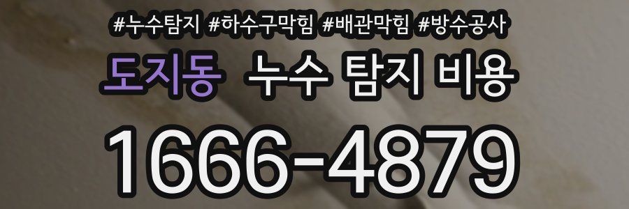 도지동 누수 탐지 비용