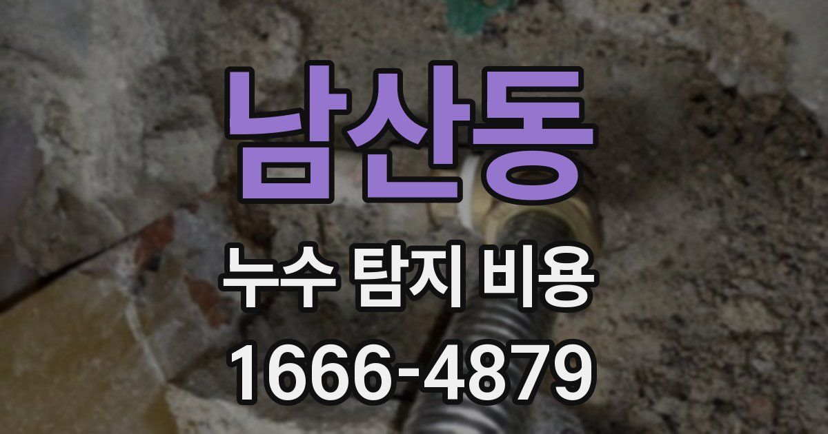 남산동 누수 탐지 비용