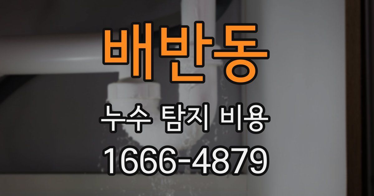 배반동 누수 탐지 비용