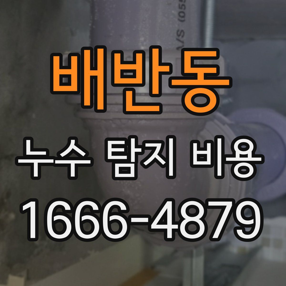 배반동 누수 탐지 비용