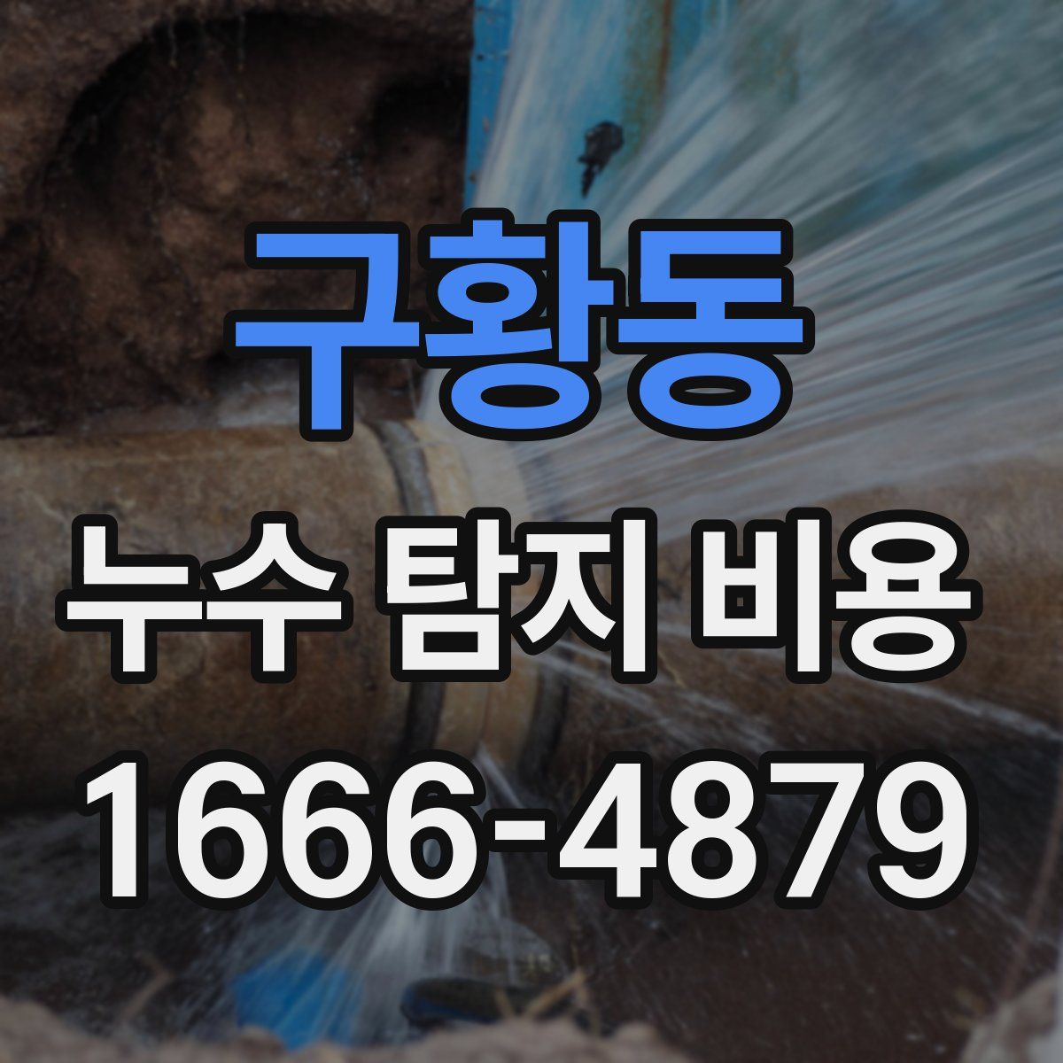 구황동 누수 탐지 비용