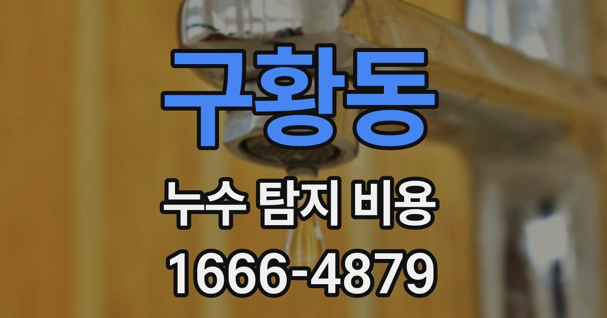구황동 누수 탐지 비용